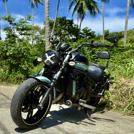 Kawasaki Vulcan Black&Blue