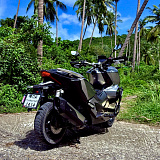 Honda ADV 350 Gray 